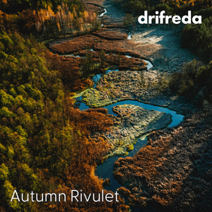 久久99久久99精品免观看
